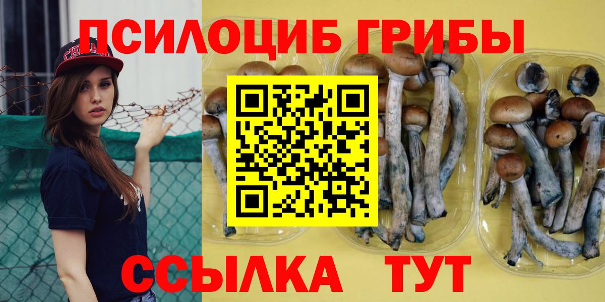 Галлюциногенные грибы мицелий Владикавказ