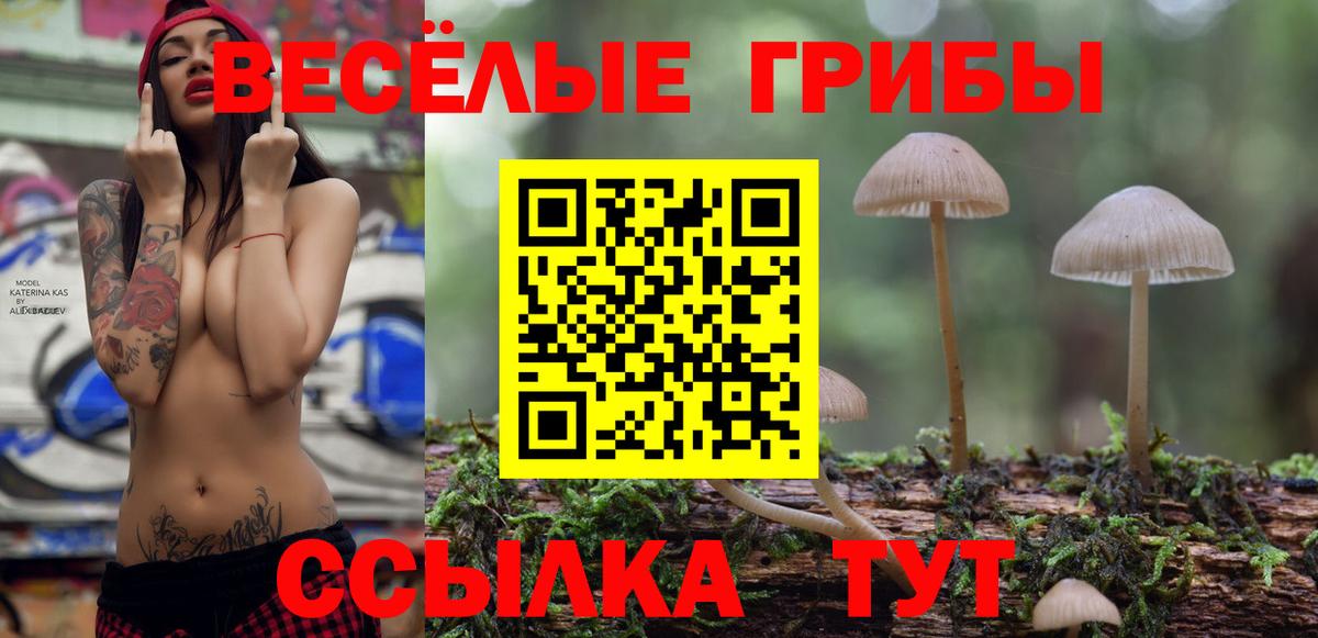 Владикавказ  Псилоцибиновые грибы GOLDEN TEACHER  цена   Псилоцибиновые грибы мицелий  Вход с VPN 