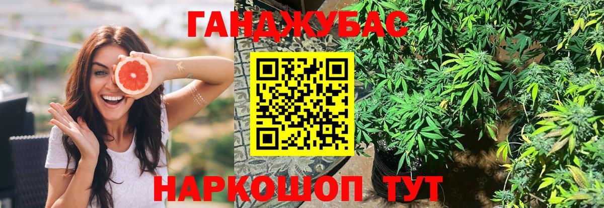 Шишки марихуана марихуана  Вход с VPN  Бошки Шишки тримм  Владикавказ  Бошки Шишки Ganja 